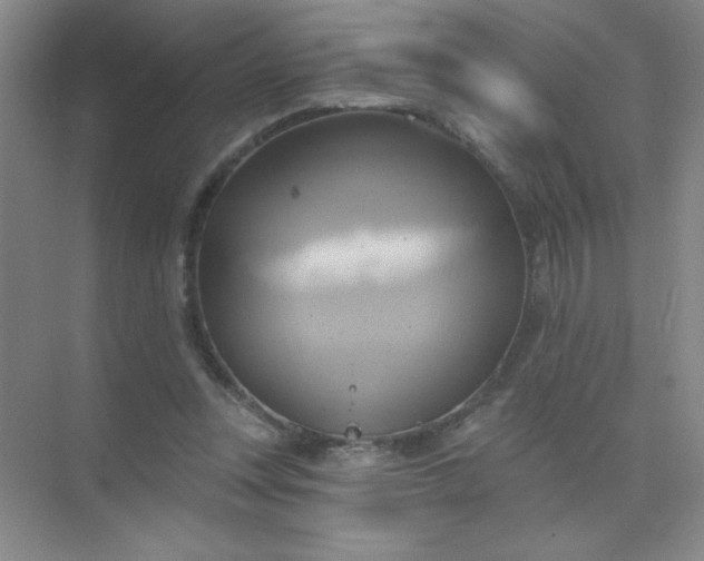 X0000071910351200607212048