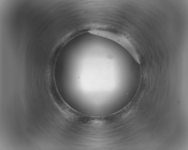 X0000071910352200607212048