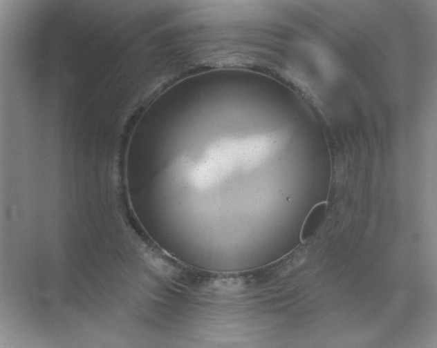 X0000071910353200607212048