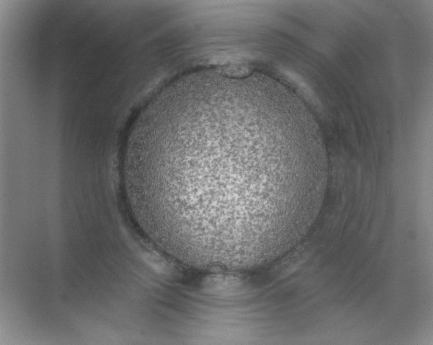 X0000071910354200607212048