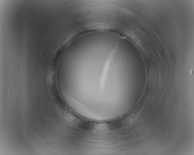 X0000071910355200607212048