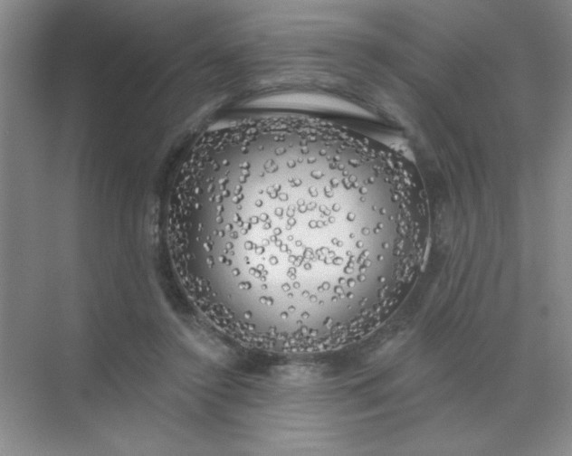 X0000071910356200607212048