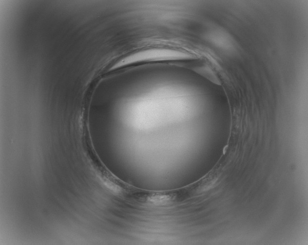 X0000071910357200607212048