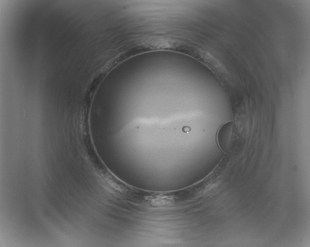 X0000071910359200607212048