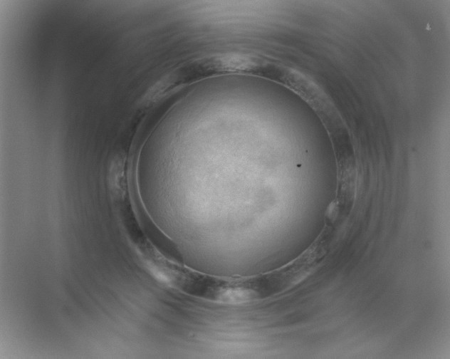 X0000071910360200607212048