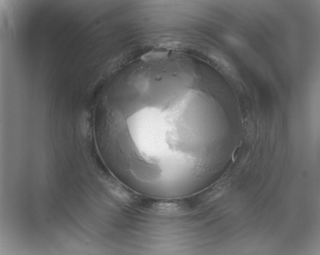 X0000071910361200607212048