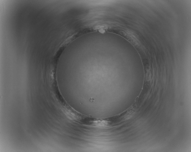 X0000071910363200607212048