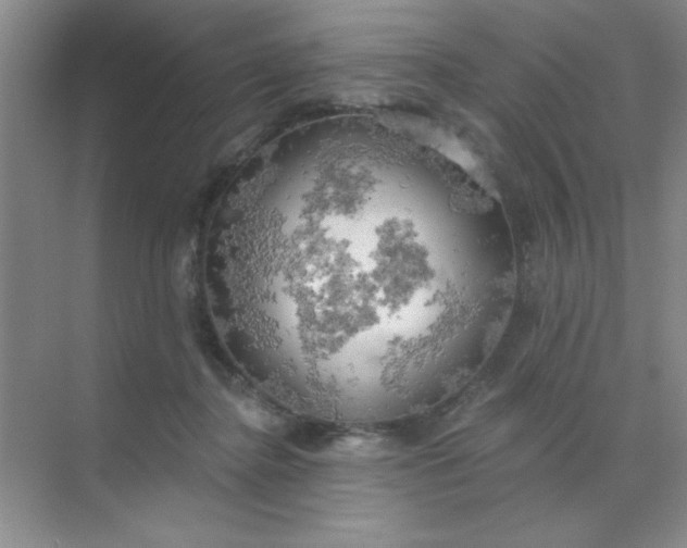 X0000071910364200607212048