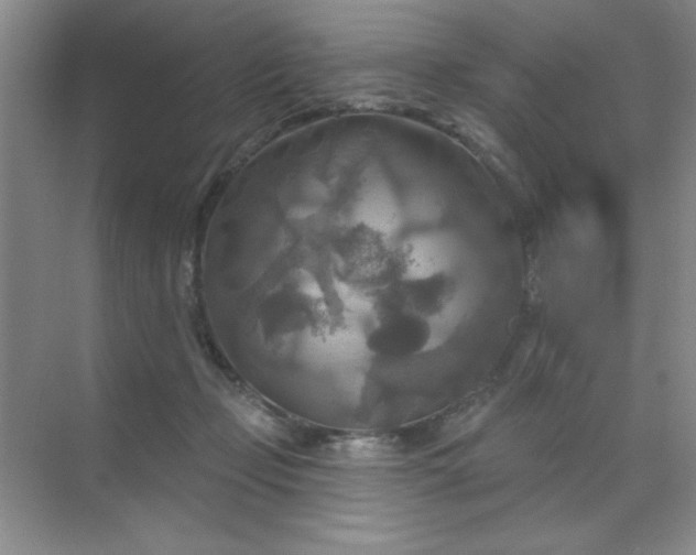 X0000071910365200607212048