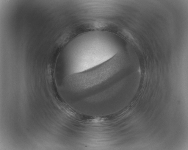 X0000071910366200607212048