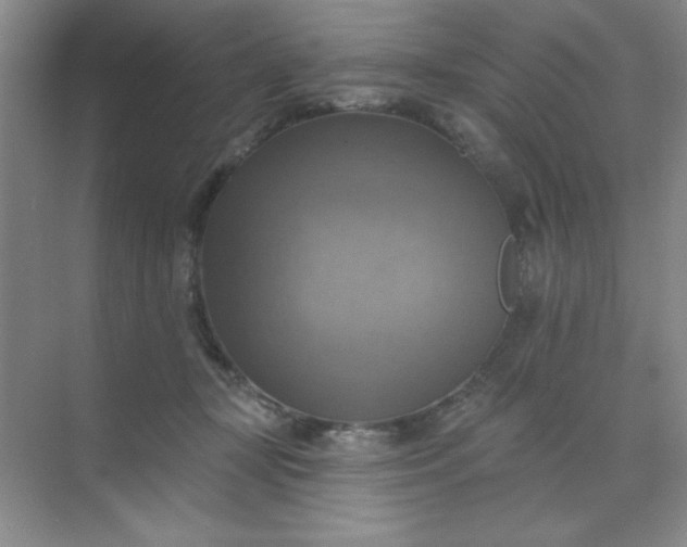 X0000071910367200607212048