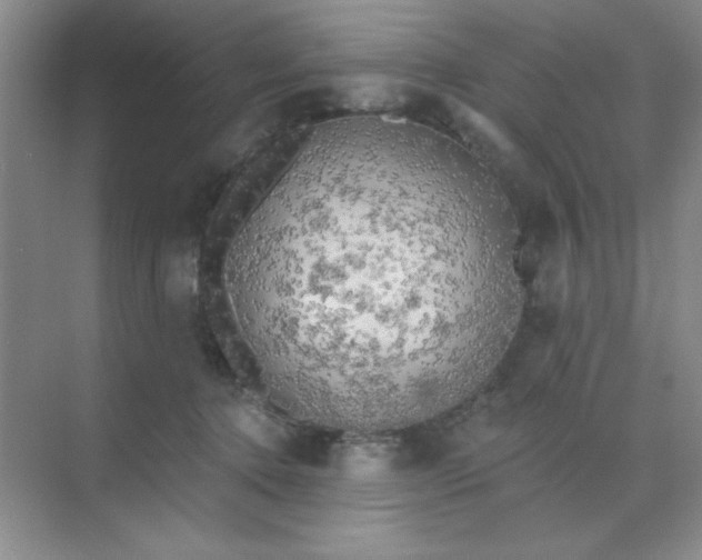 X0000071910368200607212048