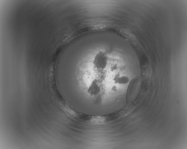 X0000071910369200607212048