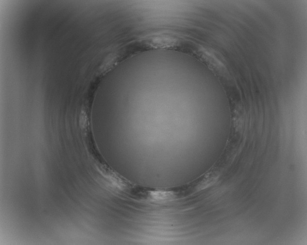 X0000071910371200607212048