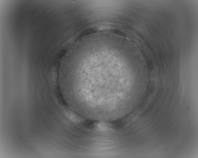 X0000071910372200607212048