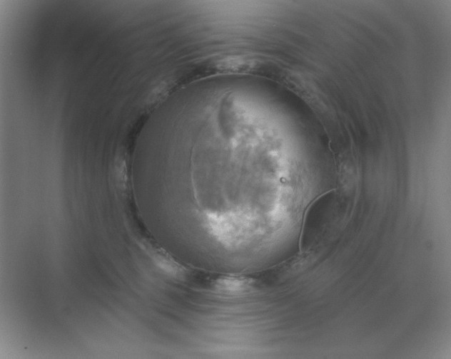 X0000071910375200607212048