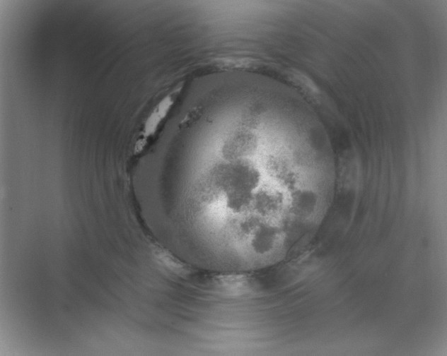 X0000071910377200607212048