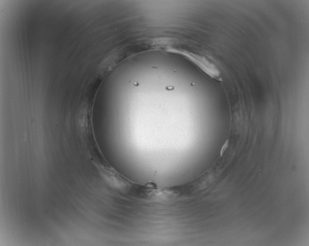 X0000071910379200607212048