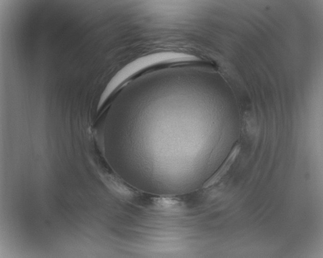 X0000071910380200607212048