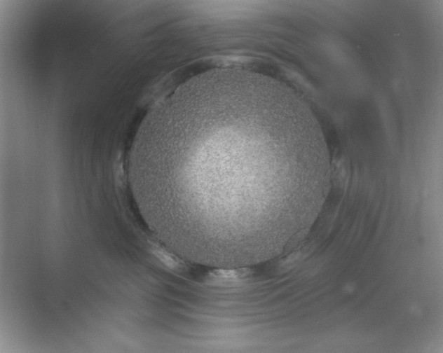 X0000071910381200607212048