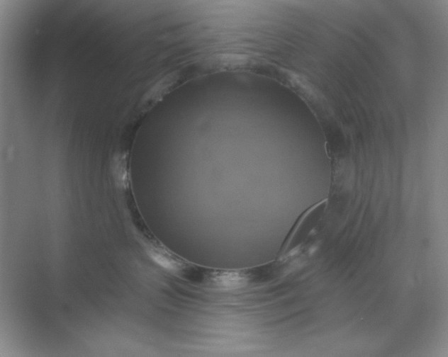 X0000071910383200607212048