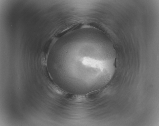 X0000071910384200607212049