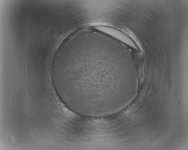 X0000071910385200607212048