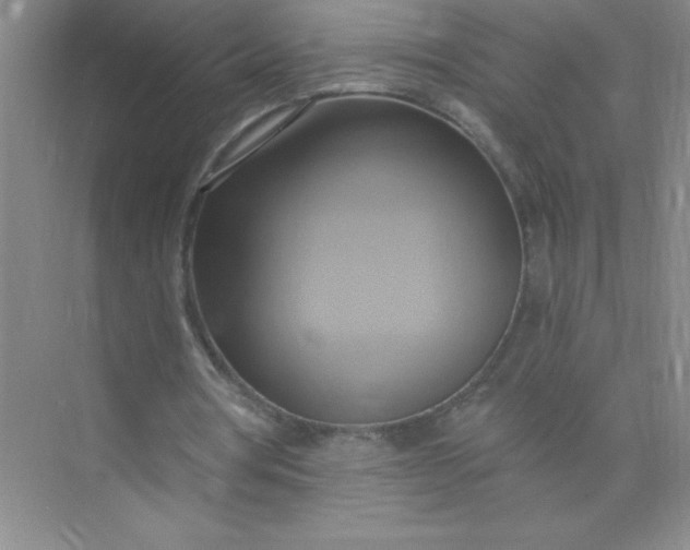 X0000071910386200607212048