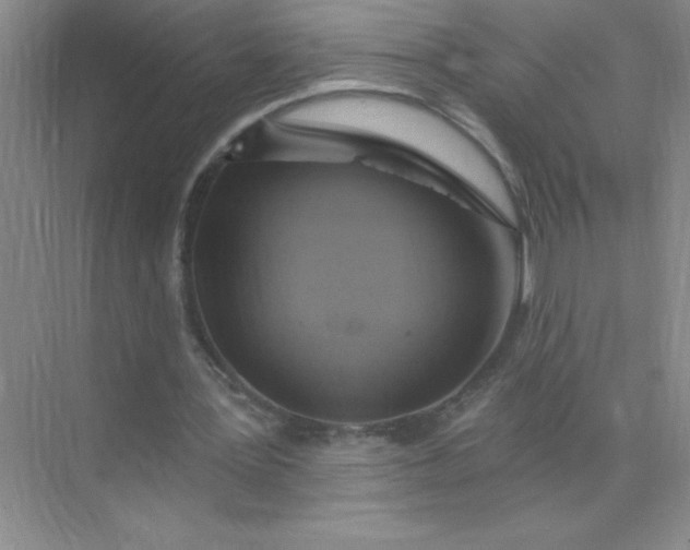 X0000071910387200607212048