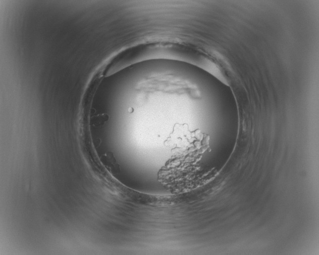 X0000071910388200607212048