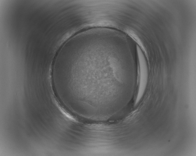 X0000071910389200607212048