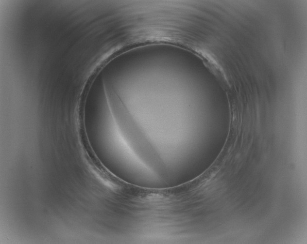 X0000071910390200607212048