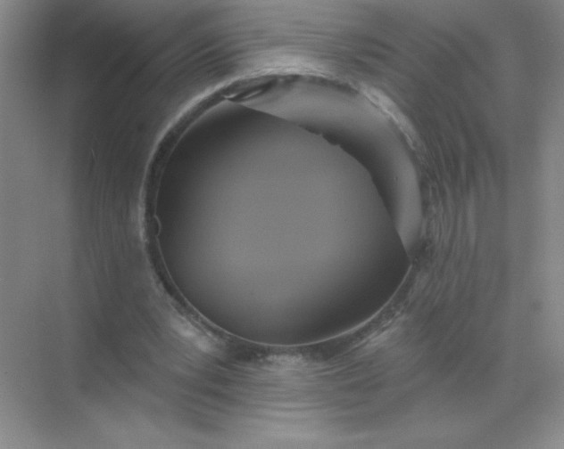 X0000071910391200607212048