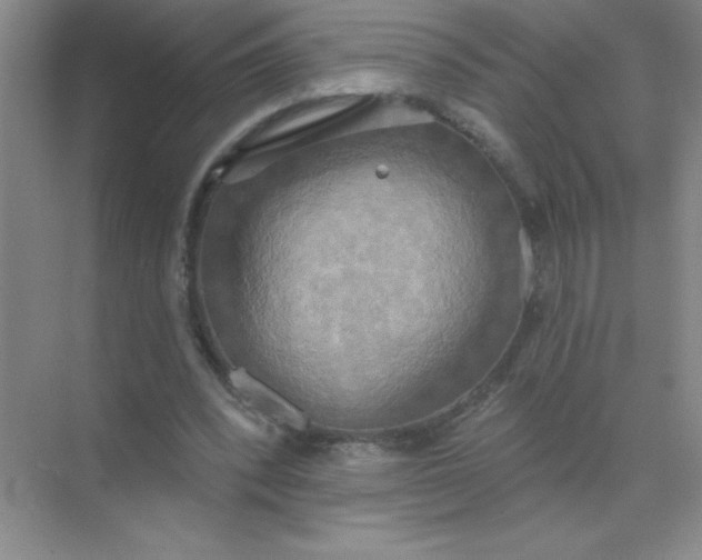 X0000071910392200607212048