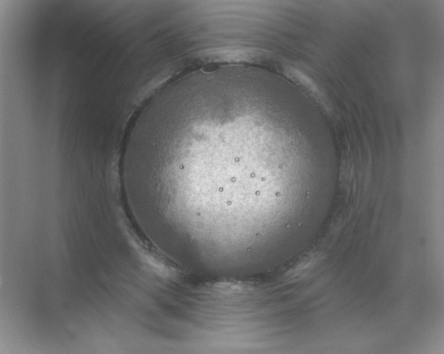 X0000071910394200607212048