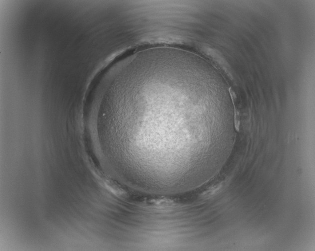 X0000071910395200607212048