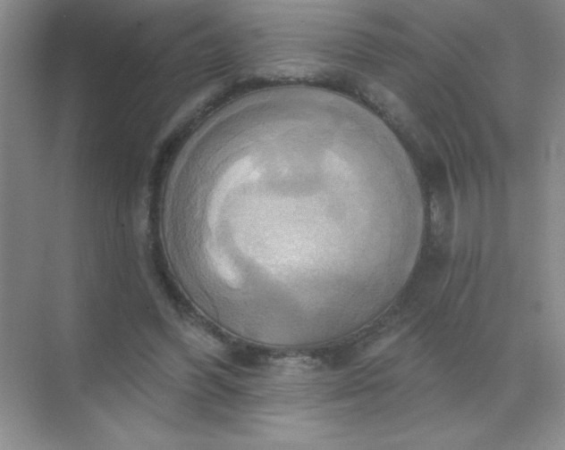 X0000071910396200607212048