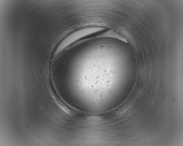 X0000071910397200607212048