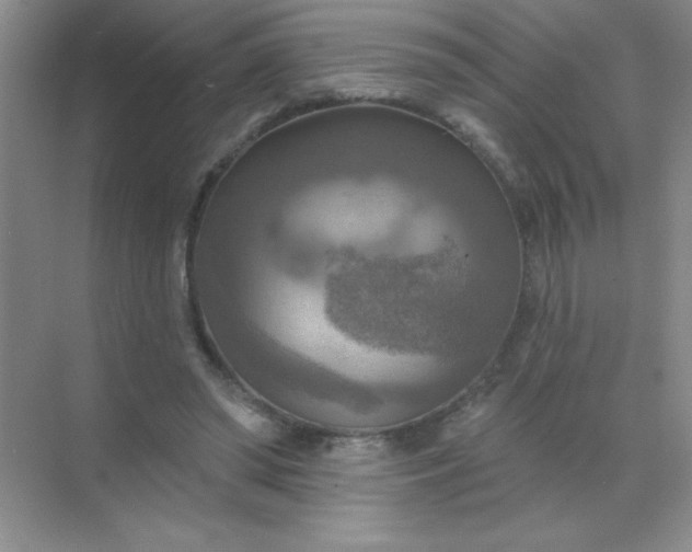 X0000071910398200607212047