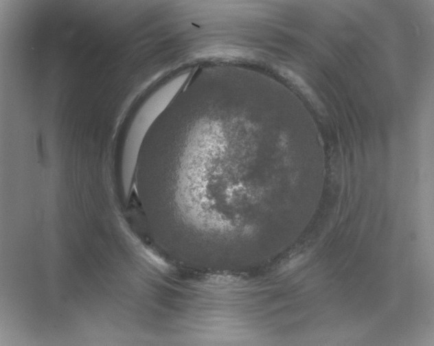 X0000071910399200607212047