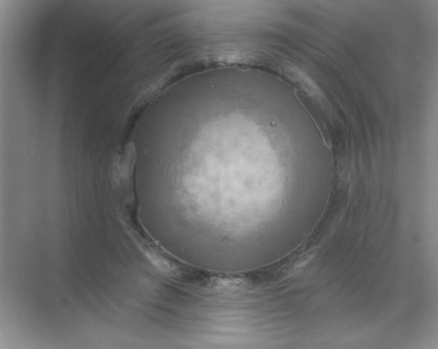 X0000071910401200607212047