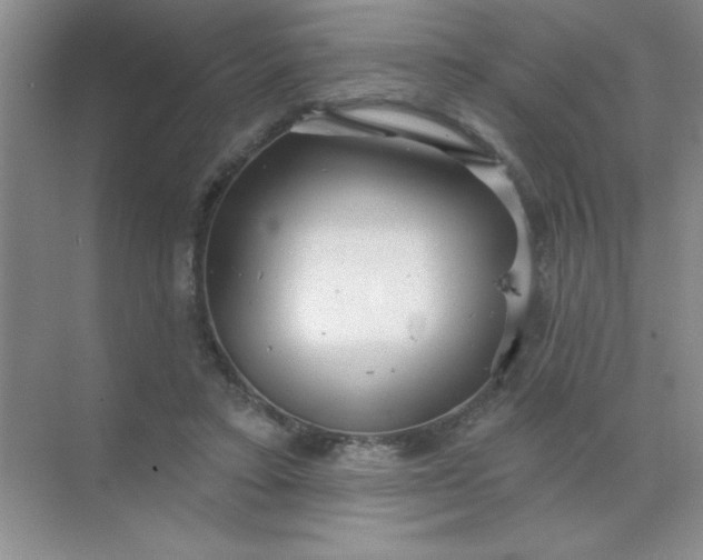 X0000071910403200607212047