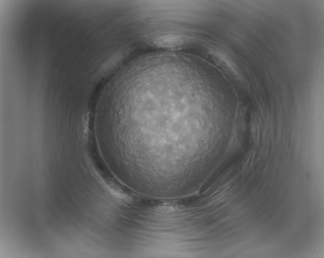 X0000071910404200607212047