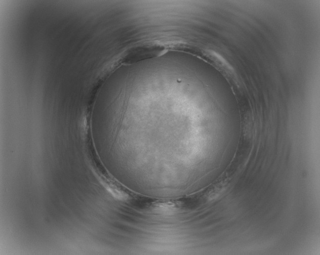 X0000071910405200607212047