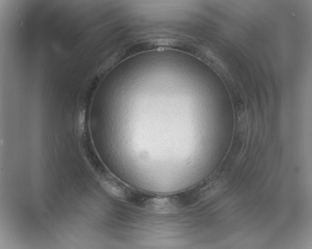 X0000071910406200607212047