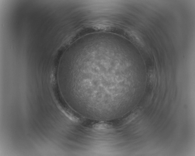 X0000071910408200607212047