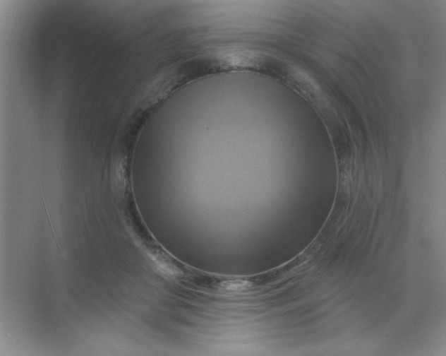 X0000071910410200607212047