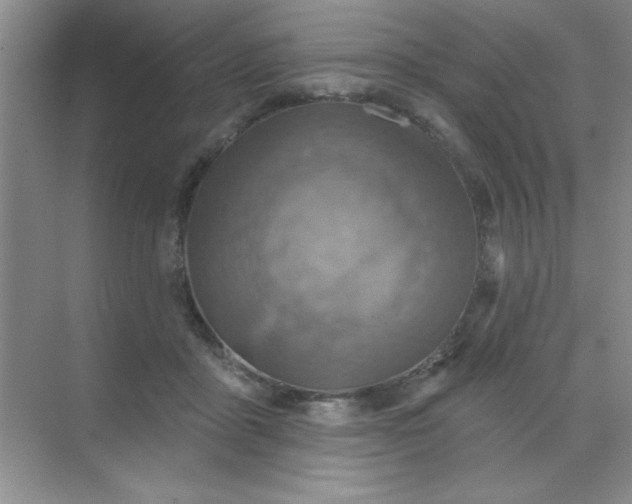 X0000071910411200607212047