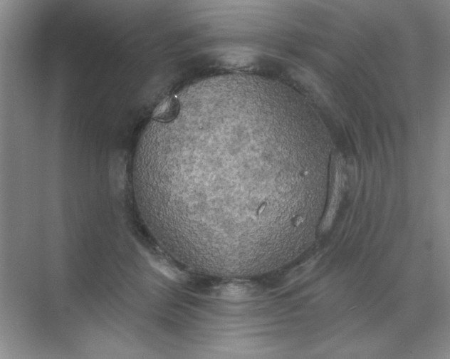 X0000071910412200607212047