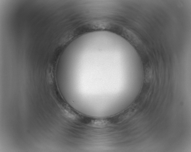 X0000071910414200607212047